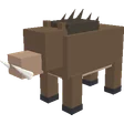Wild Boar